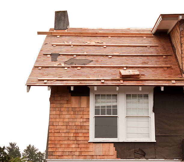 Affordable Siding Repair and Maintenance Services in Bosque Farms, NM